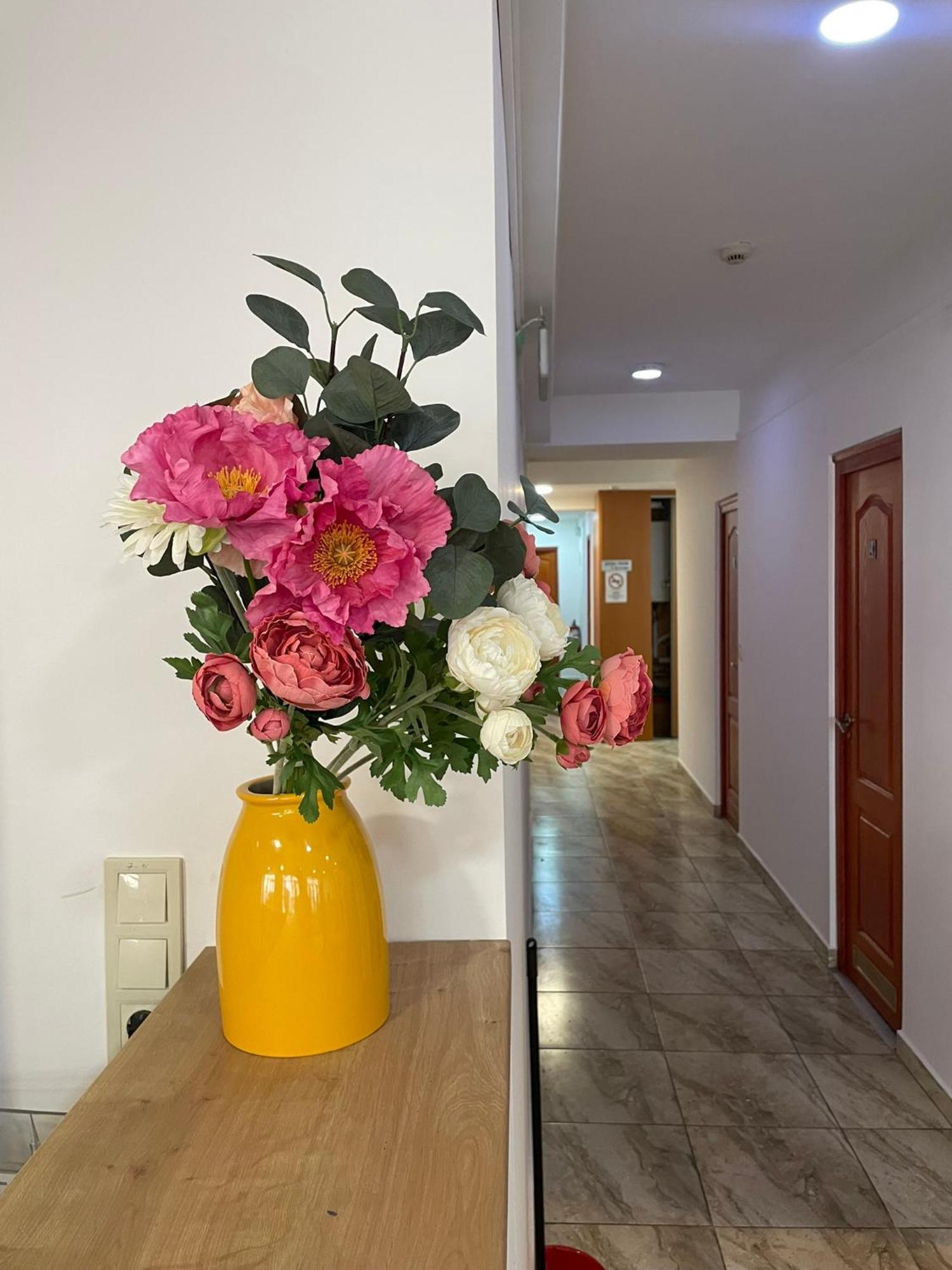 Auberge de jeunesse Center Hostel&guest House